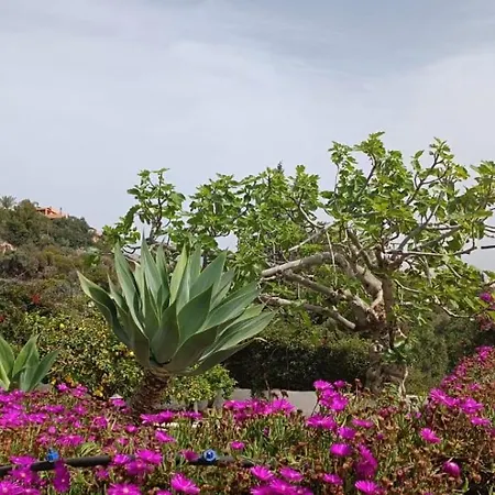 La Torrecica, Con Caracter Andaluz Y Magnificas Vistas Al Mar Y Sierra Nevada Salobrena